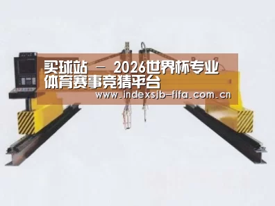 产品名称十七