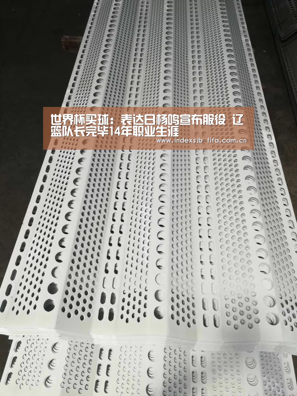 世界杯买球：表达日杨鸣宣布服役 辽篮队长完毕14年职业生涯