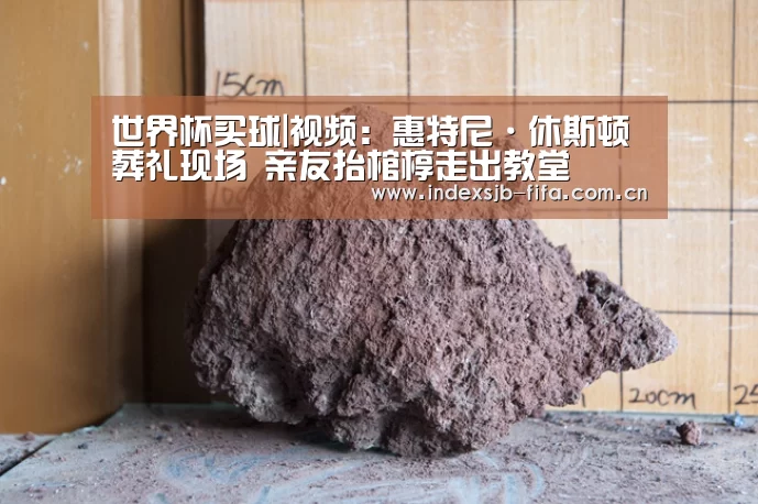 世界杯买球|视频：惠特尼·休斯顿葬礼现场 亲友抬棺椁走出教堂