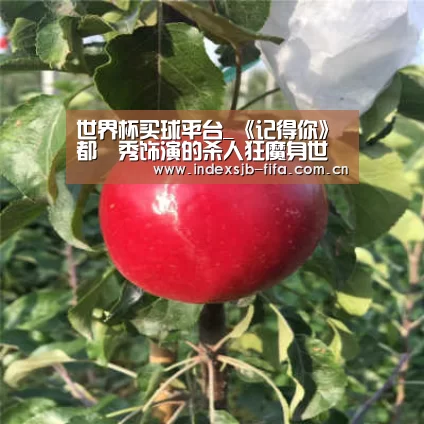 世界杯买球平台