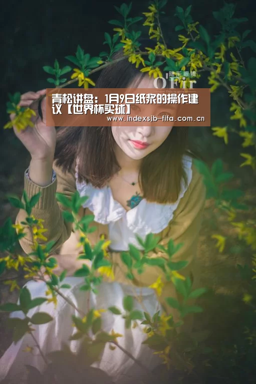 世界杯买球平台