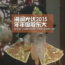 海润光伏2015年年度股东大会决议公告:世界杯买球平台(图4) 世界杯买球平台