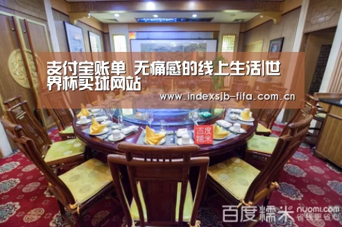 支付宝账单 无痛感的线上生活|世界杯买球网站