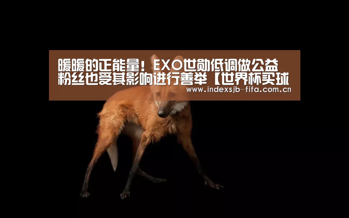 暖暖的正能量!EXO世勋低调做公益 粉丝也受其影响进行善举【世界杯买球平台】(图3) 世界杯买球网站
