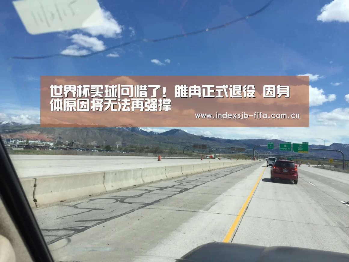 世界杯买球|可惜了！睢冉正式退役 因身体